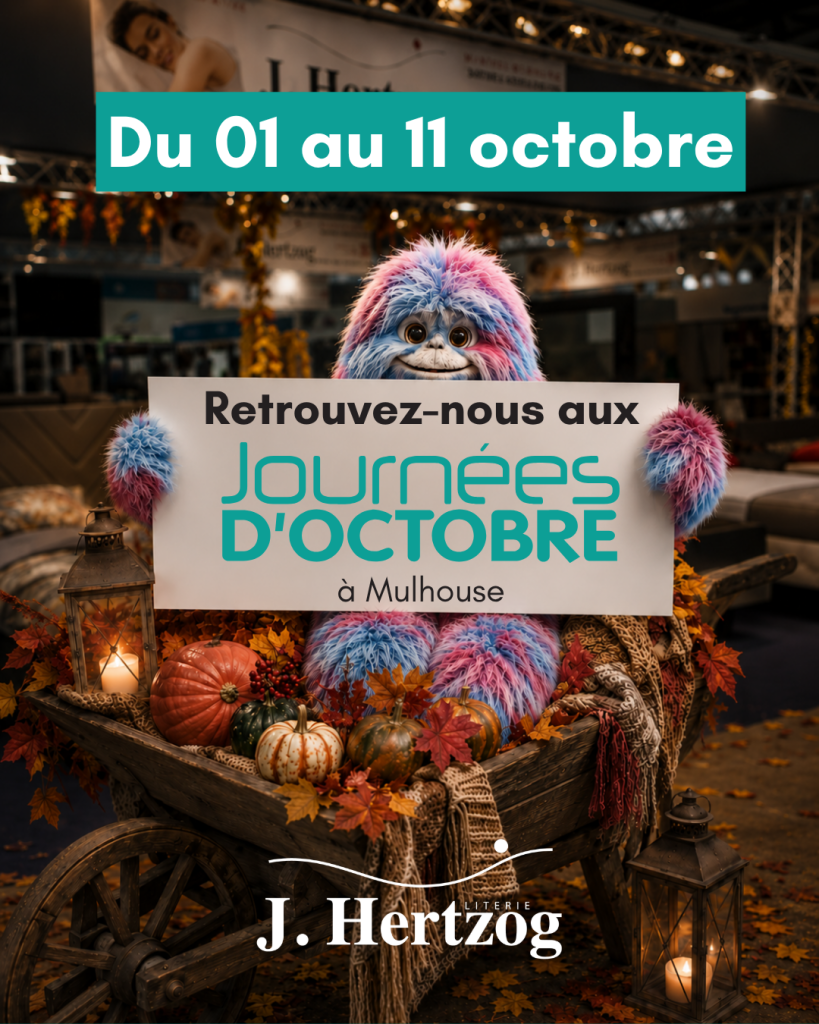 Journées d'octobre du 01 au 11 octobre 2026 à Mulhouse